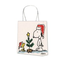 9'' x 9.8'' x 6'' 120g White Kraft Paper Bags Custom CMYK Printing With Your Design 10000pcs