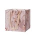 300mm x 300mm x 300mm Paper Bags With Metallic Power and Silk Riboon